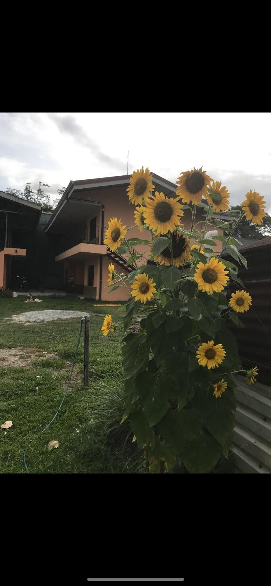 Sky Hostel La Fortuna Eksteriør bilde